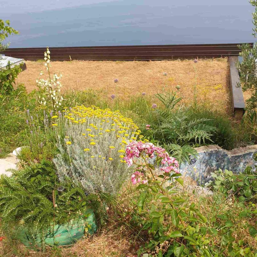 Villa Mary'S Garden Tulisevica Exterior foto