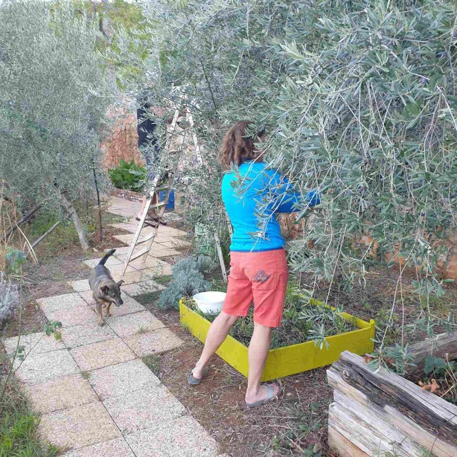Villa Mary'S Garden Tulisevica Exterior foto