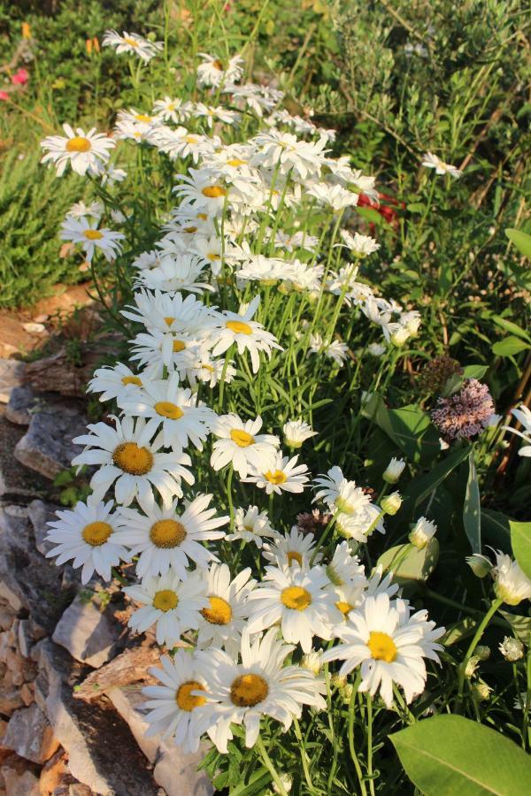 Villa Mary'S Garden Tulisevica Exterior foto