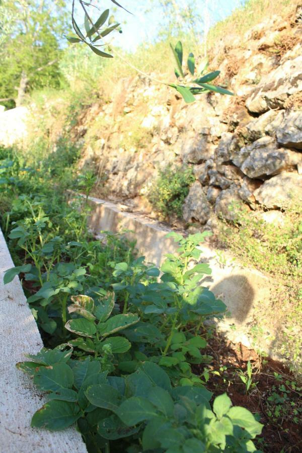 Villa Mary'S Garden Tulisevica Exterior foto