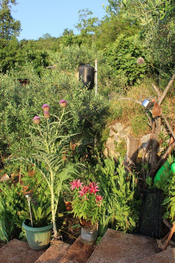 Villa Mary'S Garden Tulisevica Exterior foto
