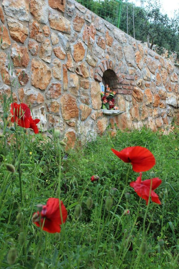 Villa Mary'S Garden Tulisevica Exterior foto