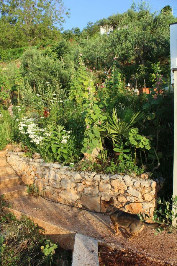 Villa Mary'S Garden Tulisevica Exterior foto